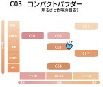 画像2: コンパクトパウダー/ナチュラルＣ03/13g (2)