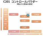 画像2: ナチュラルパープル/C201/13g (2)